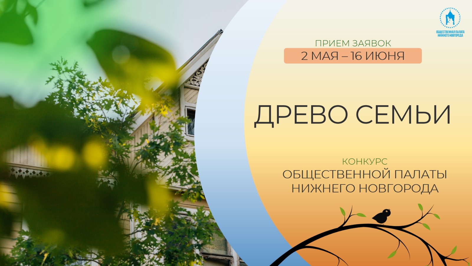 Конкурс «Древо семьи» стартовал в Нижнем Новгороде