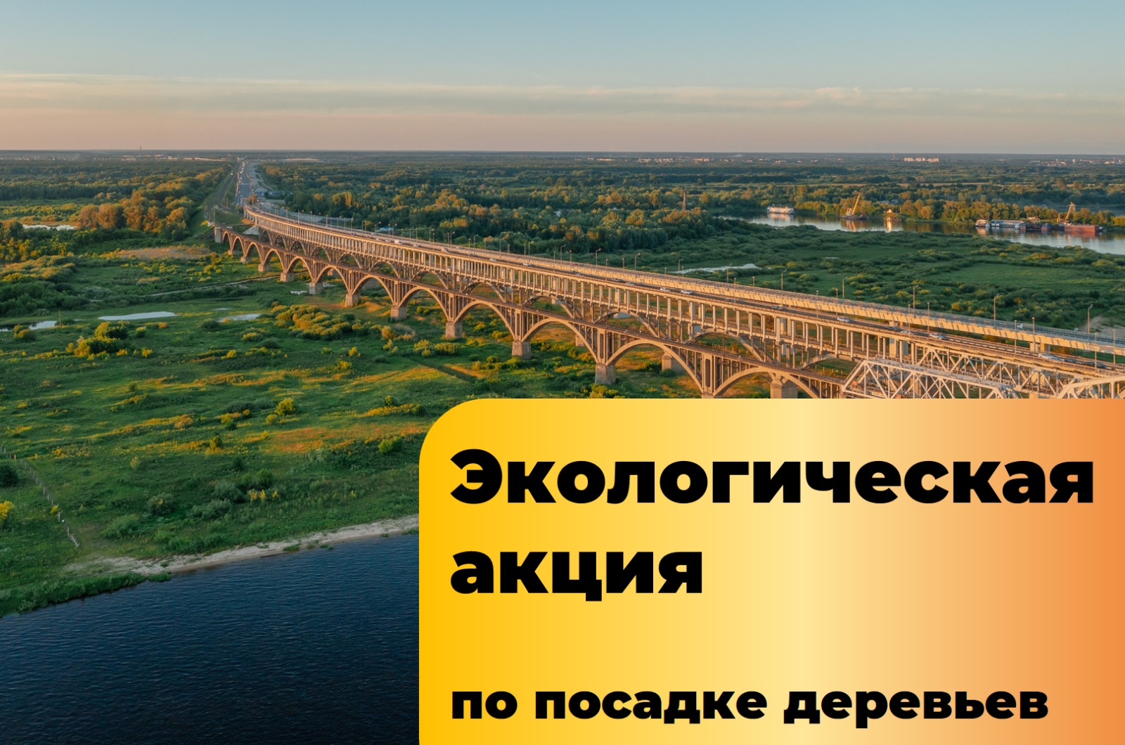Нижегородцы приглашаются к участию в экологической акции по посадке деревьев 